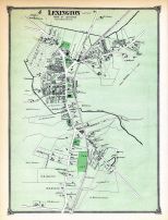 Lexington Town, Middlesex County 1875